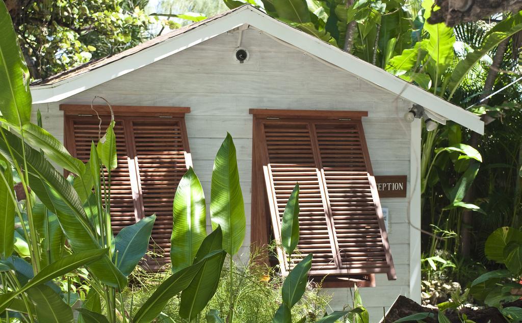 Eco Lifestyle And Lodge Bathsheba Dış mekan fotoğraf