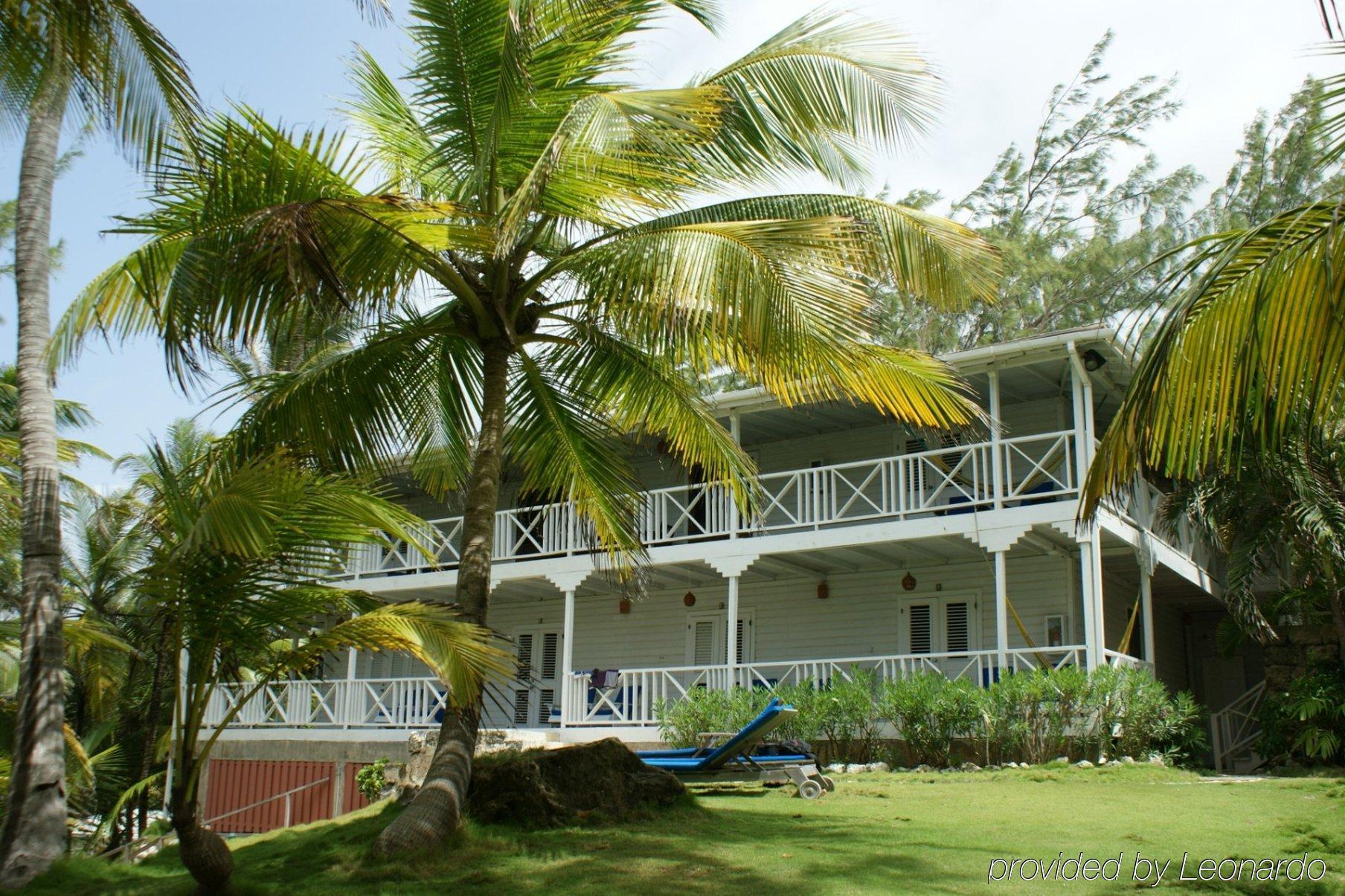 Eco Lifestyle And Lodge Bathsheba Dış mekan fotoğraf
