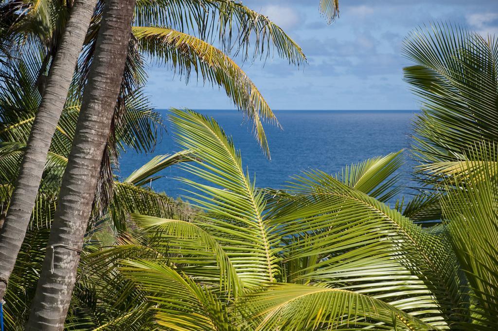 Eco Lifestyle And Lodge Bathsheba Dış mekan fotoğraf