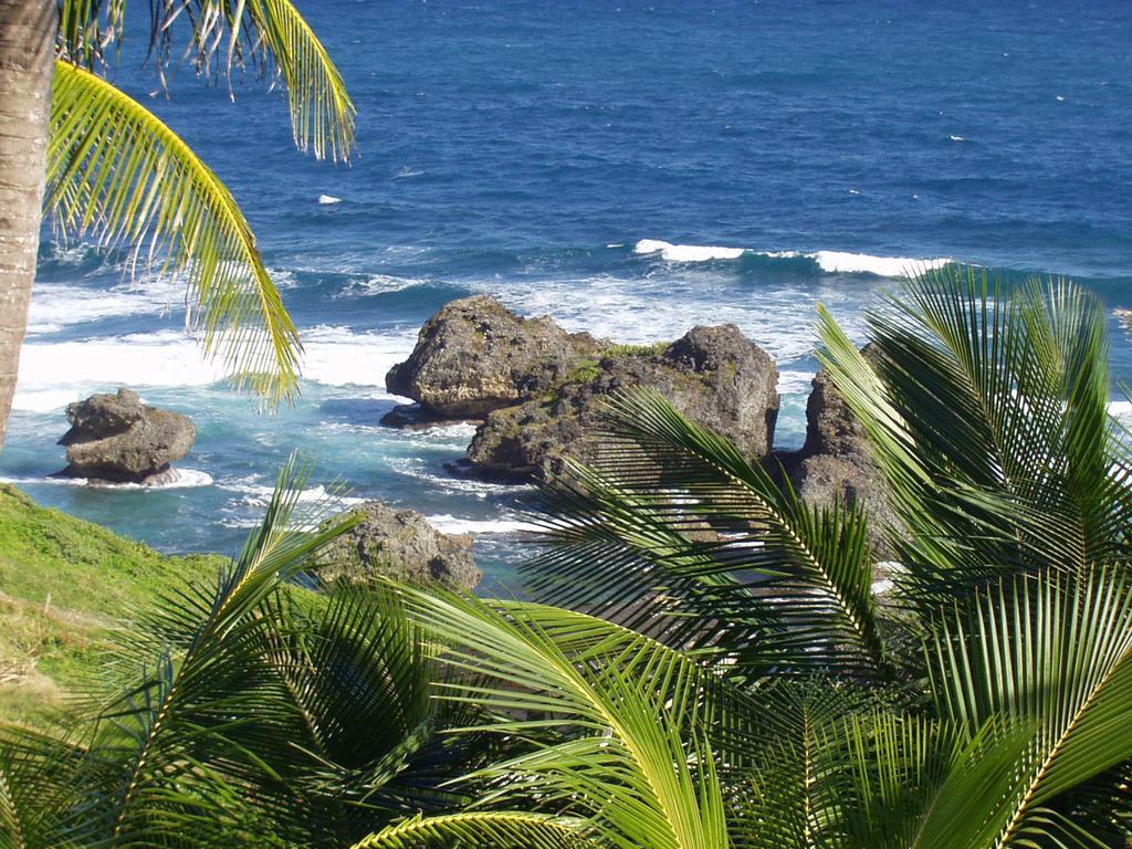 Eco Lifestyle And Lodge Bathsheba Dış mekan fotoğraf