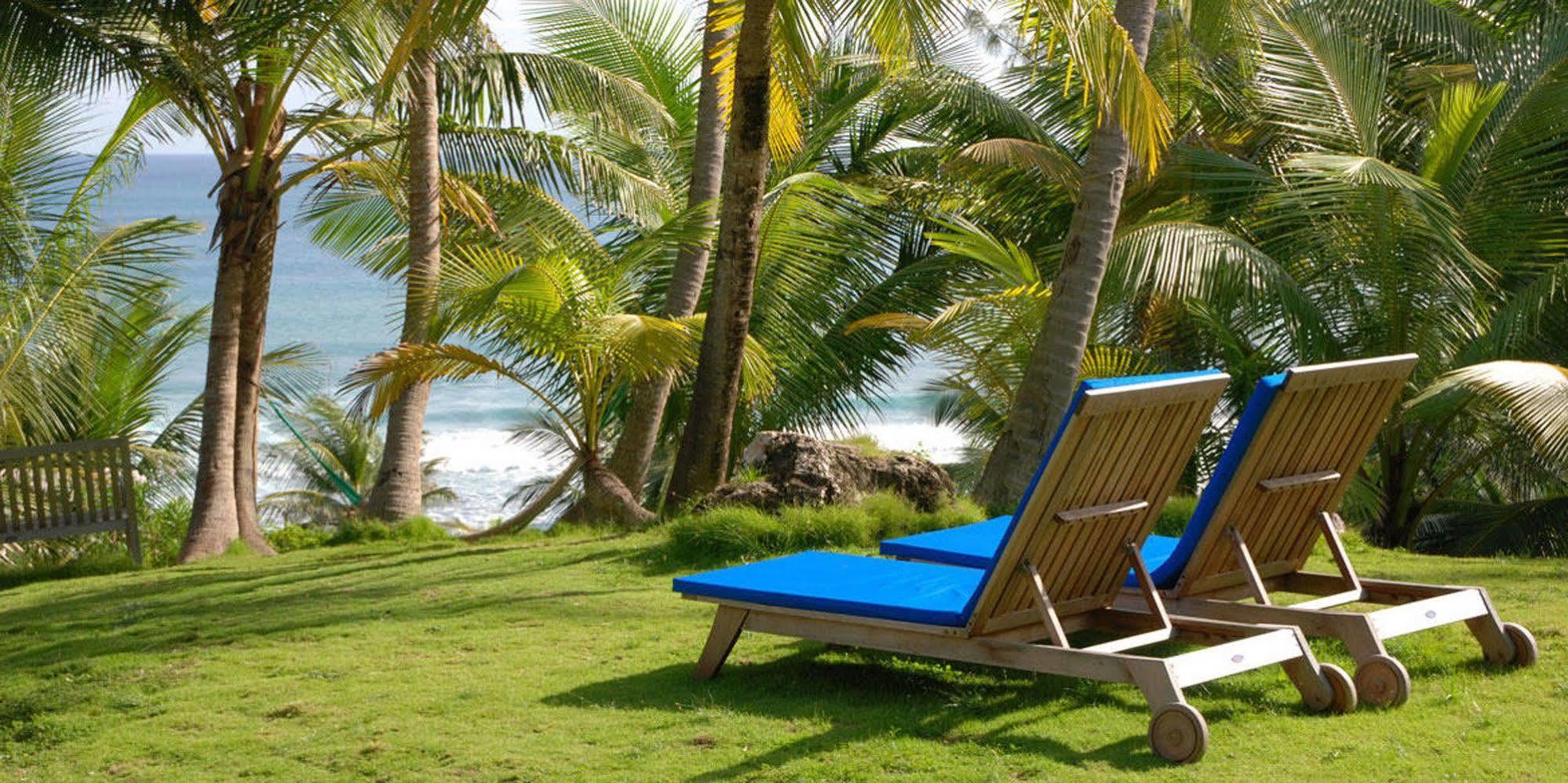 Eco Lifestyle And Lodge Bathsheba Dış mekan fotoğraf