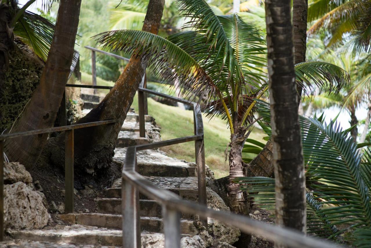 Eco Lifestyle And Lodge Bathsheba Dış mekan fotoğraf