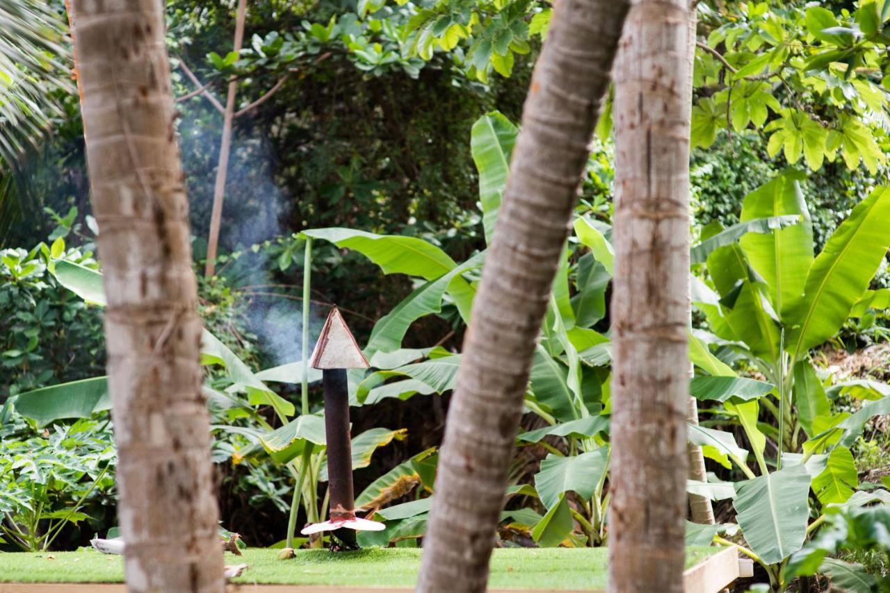 Eco Lifestyle And Lodge Bathsheba Dış mekan fotoğraf