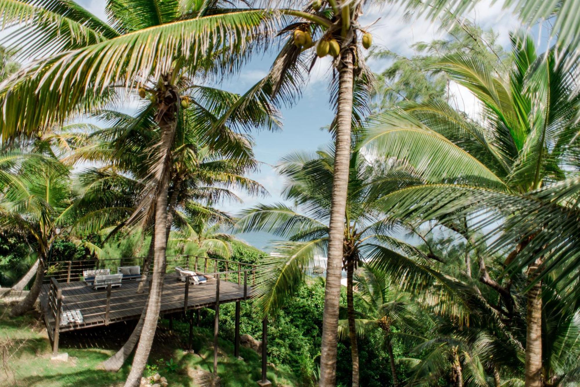 Eco Lifestyle And Lodge Bathsheba Dış mekan fotoğraf